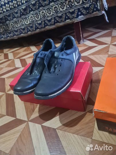 Женская одежда, мужская одежда