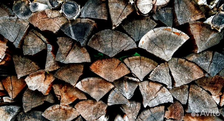Дрова с Зеленогорска