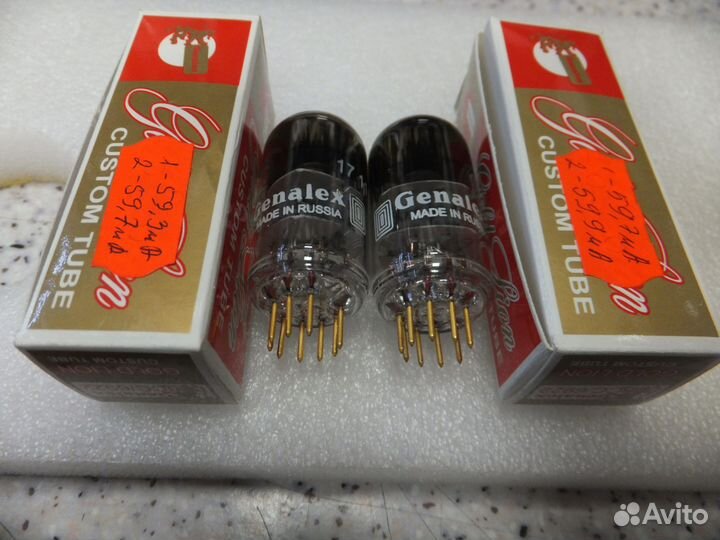 6П1П -ев 6922 gold lion