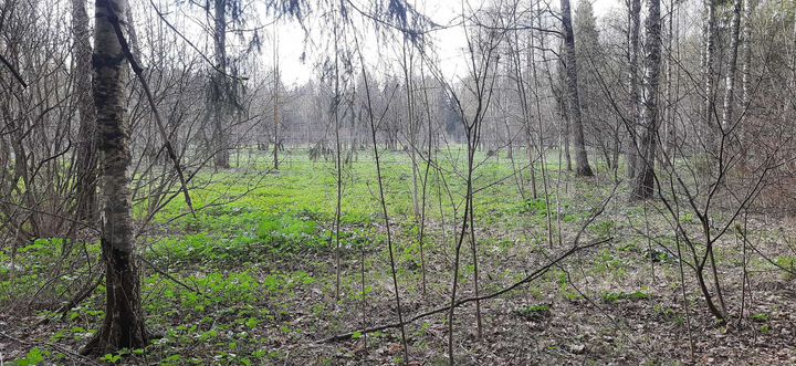 Участок 12 сот. (ИЖС)