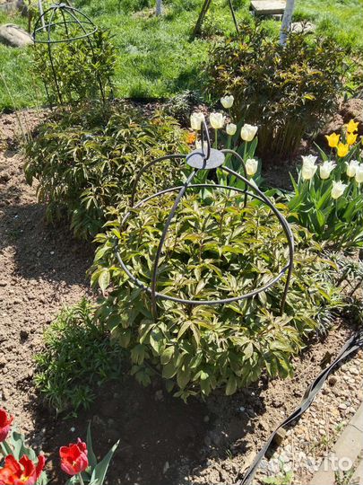 Подставка под клематисы