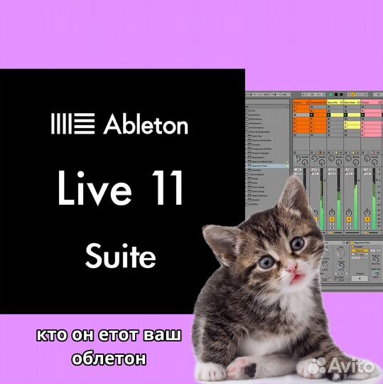 Ableton Live 11 Suite