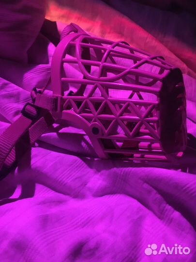 Намордник для собак