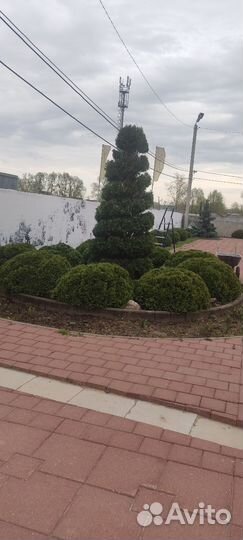 Услуги садовника