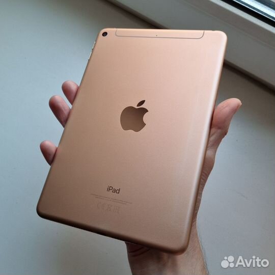 iPad mini 5 64gb cellular