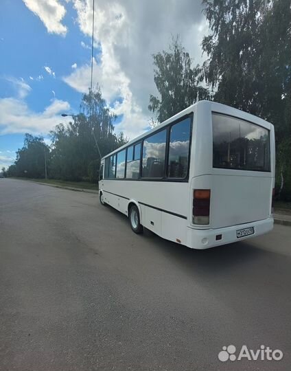 Аренда автобуса Паз. Доставка сотрудников