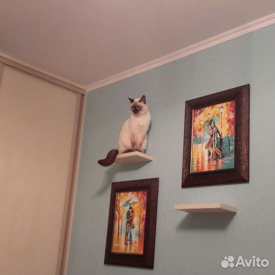 Картины маслом на холсте любовь