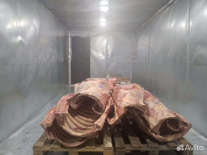 Мясо говядина свинина баранина