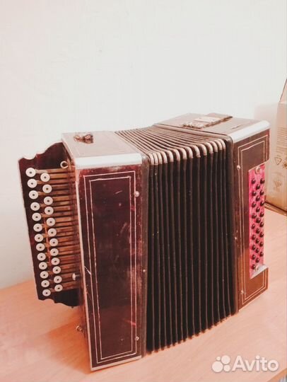 Гармонь СССР