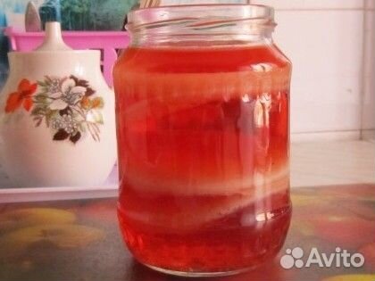 Чайный гриб