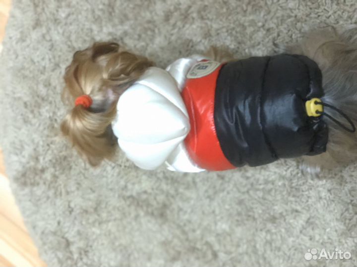 Товары для животных