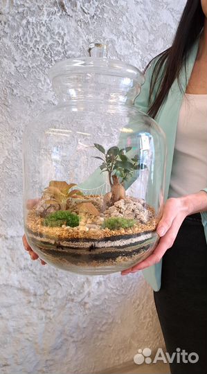 Большой флорариум