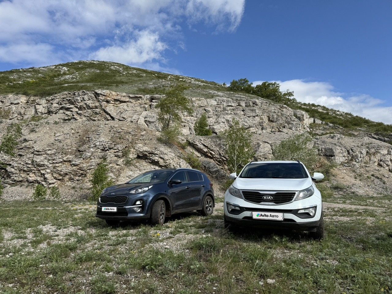Kia Sportage: фото владельца
