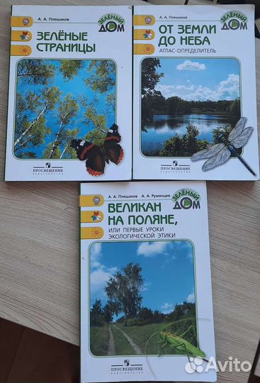 Великан на поляне