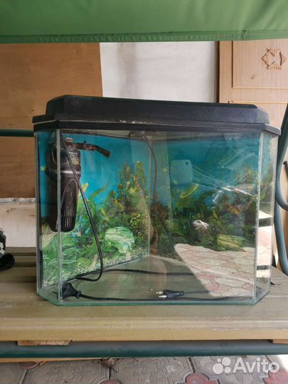 Аквариум