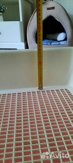 Лоток для собак