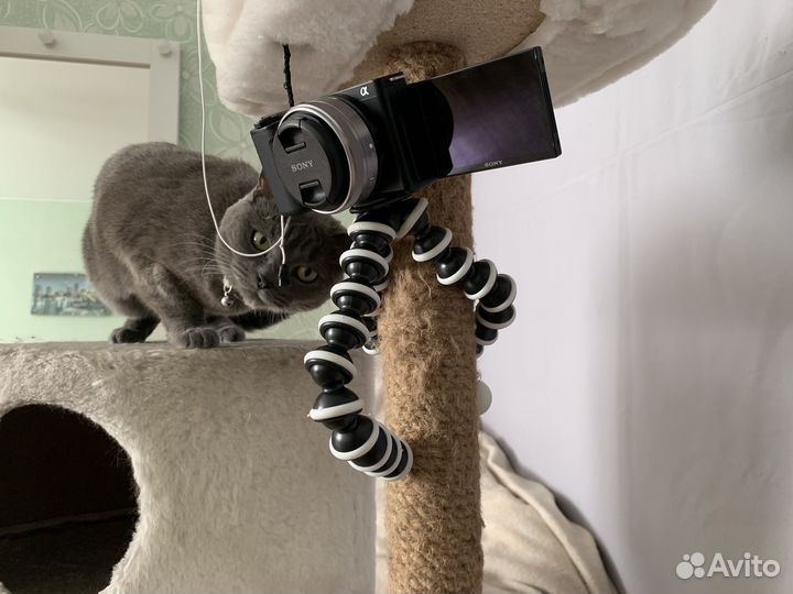 Гибкий штатив для телефона или камеры GorillaPod
