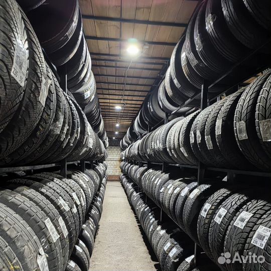 Dunlop Winter Maxx 175/65 R14 82Q