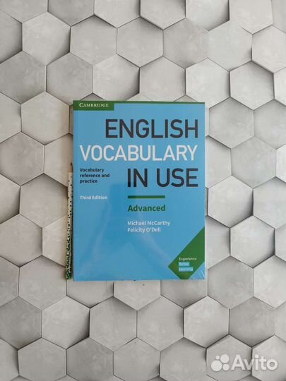 English Vocabulary in Use Advanced
