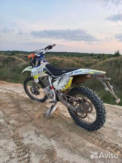Avantis FX 250