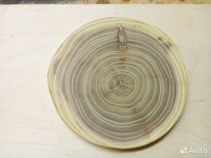 Спил дерева для декора