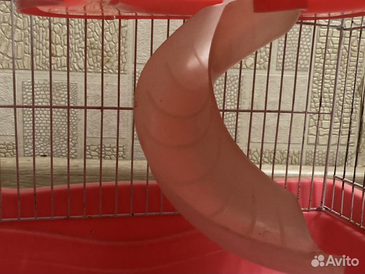 Клетка для хомяка бу