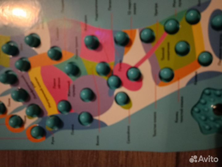 Акупунктурная таблица