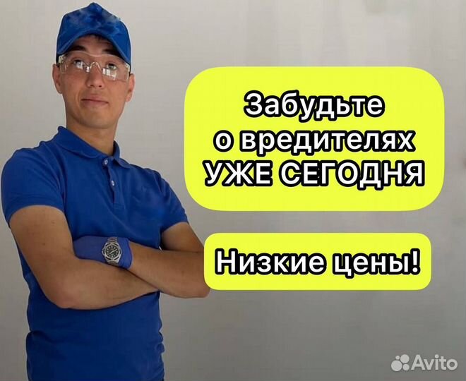 Уничтожение тараканов клопов. Дезинсекция