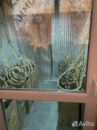 Магазин разливных напитков