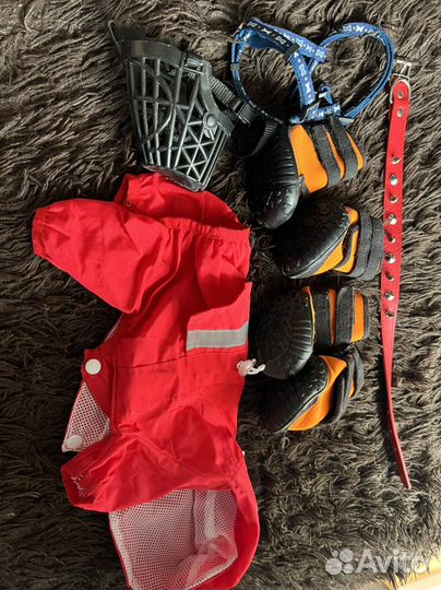 Товары для собак