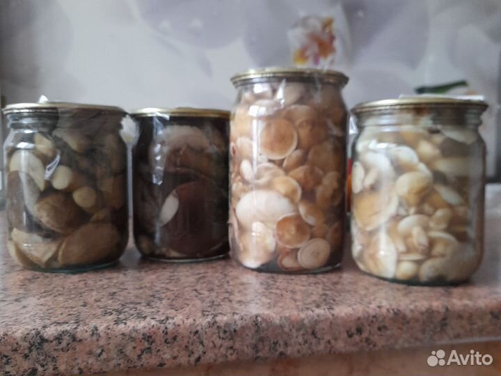 Продам грибы