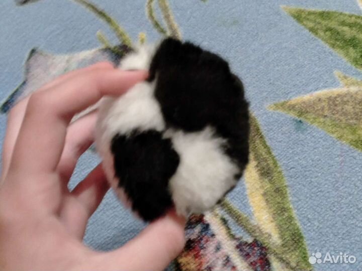 Мягкая игрушка клаща из полимерной глины