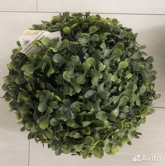 Искусственный самшит