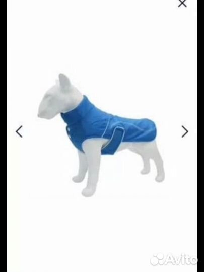 Попона для собак