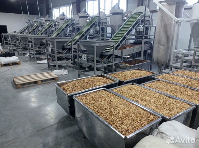 Кедровый орех оптом от Производителя