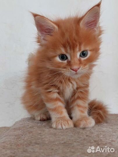 Нереальная красота