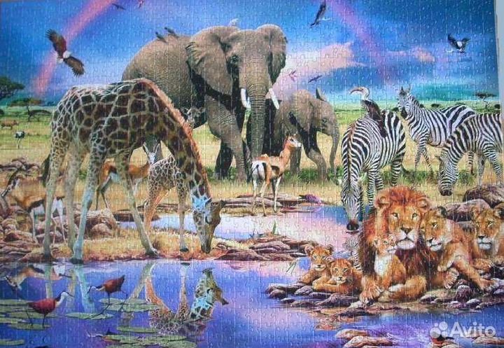 Пазл step puzzle art collection 1000 Саванна 79090