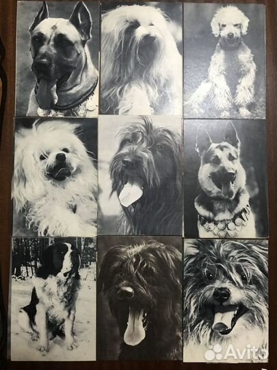 Открытки СССР