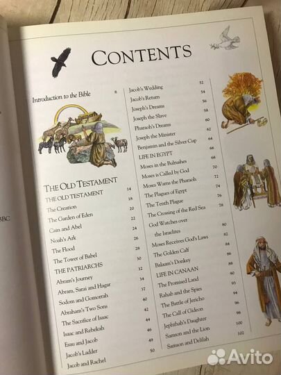 Селина Хастингс Детская иллюстрированная Библия