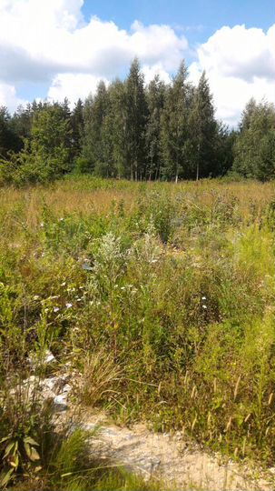 Участок 22 сот. (ИЖС)