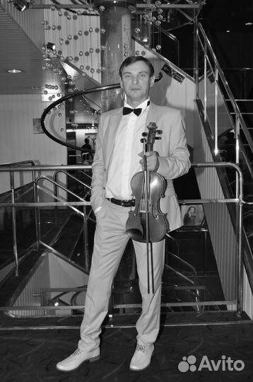 Живая музыка скрипка скрипач профи