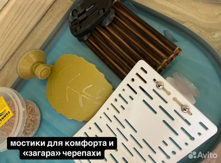 Все для черепахи