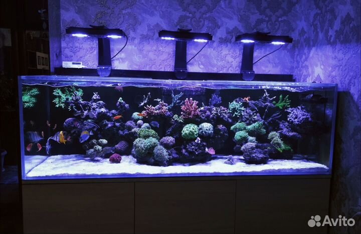 Морской аквариум комплект