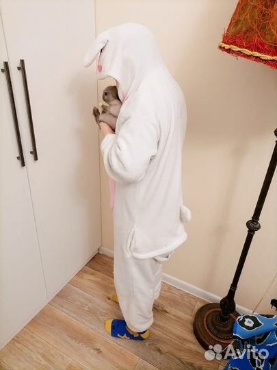 Костюм кигуруми кролик