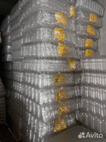 Пэт Бутылка 0,33л 330мл Бутылка под морс