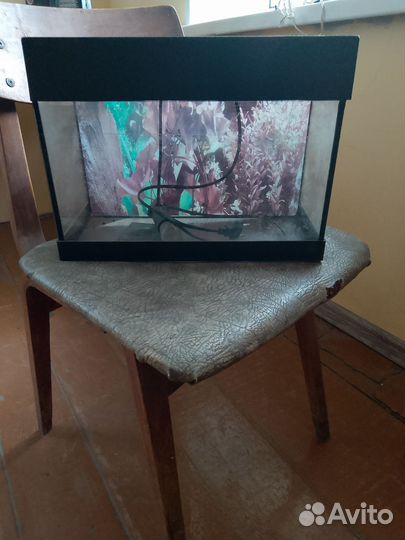 Аквариум небольшой,ширина 35, высота 25