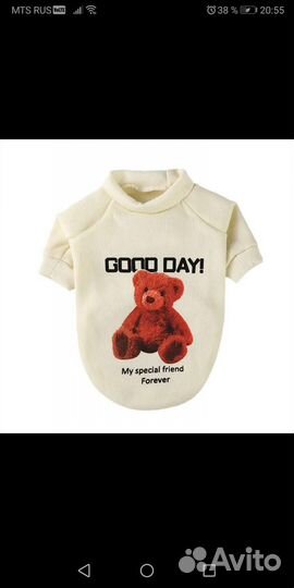 Одежда для кошек и собак