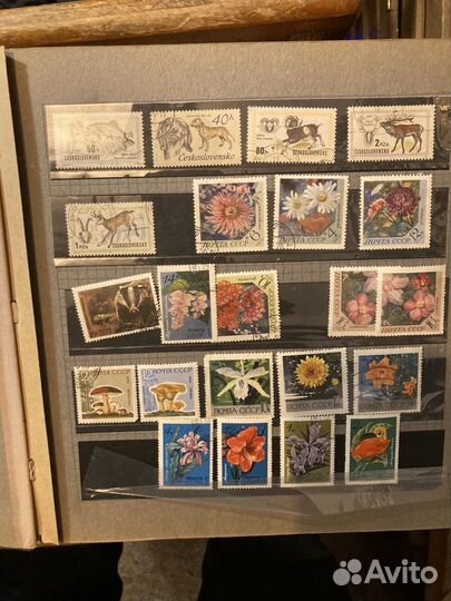 Альбом с почтовыми марками