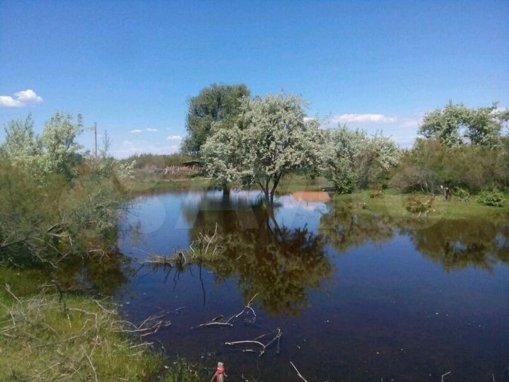 Участок 8 сот. (ИЖС)