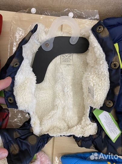 Новая одежда для собак puppy angel размер S
